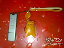 數(shù)字產(chǎn)品技術(shù)交流 構(gòu)建開發(fā)者生態(tài)的關(guān)鍵平臺